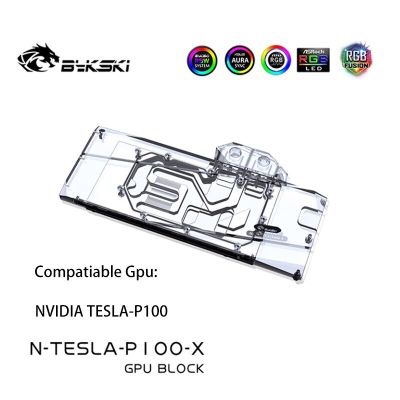 Bykski GPU Water Cooling Block สำหรับ NVIDIA TESLA-P100เต็มรูปแบบพร้อมแผ่นรองหลัง GPU Water Cooling Cooler,N-TESLA-P100-X