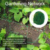 【CW】 Climbing Net Gardening Fruit Flowers Trellis Netting Vine Frame Fence Mesh Antibird