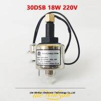 } {: ไมโครปั๊ม {30DSB 18W 220V 240V สำหรับอุปกรณ์เอฟเฟกต์บนเวที DJ อุปกรณ์เครื่องทำหมอกน้ำมันสำหรับฟื้นฟูปั๊ม