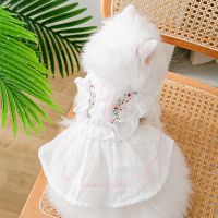 Spring summer cat clothes Breathable Daisy Lace Princess Dress Small dog two legged pet white skirt Dresses