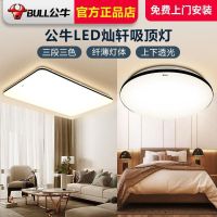 [COD] ceiling living room bedroom master restaurant home decoration creative simple