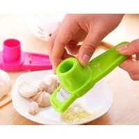 Kitchen Household Garlic Grinder Garlic Paste Creative Multi-functional Ginger Grinder Garlic Cutter Garlic Press