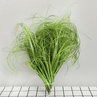 Fake Greenery Dog Tail Grass Bunch Reed Cattail Onion Grass Reed Grass Simulated Green Plant Decoration Wedding Scene Layout Shoes Accessories