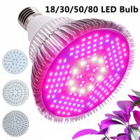 CK Led Plant Grow Light Bulb Full Spectrum Light Indoor Plants Growing Light Bulb Lamp for Vegetables Greenhouse and Hydroponic