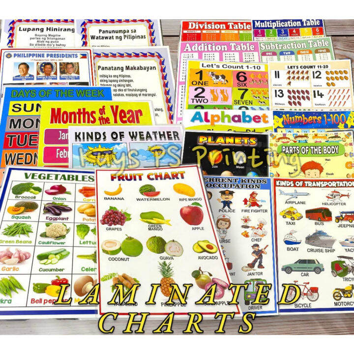 EDUCATIONAL CHART FOR KIDS LAMINATED | Lazada PH