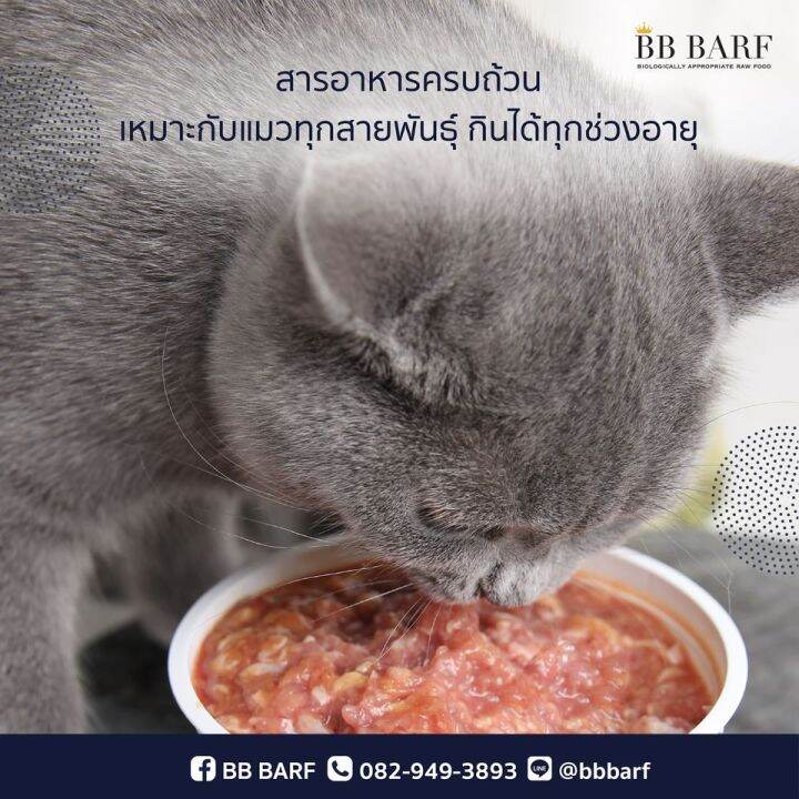 bb-barf-cat-food-chicken-อาหารบาร์ฟ-อาหารสดดิบสำหรับแมว-อาหารแมวแช่แข็ง-เนื้อไก่-ลูกและแมวโต-ขนาด-335-กรัมx-30-กระปุก