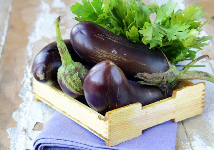 มะเขือยาว-aubergine-long-eggplants-seeds-มะเขือยาวลูกผสม-มะเขือยาวม่วงลิงมังกี้-มะเขือยาวฟาร์มเมอร์ลอง-มะเขือยาวซาไก-มะเขือยาว