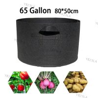 65 Gallon Hand Held Plant Grow Bags High Bearing Fabric Pot Orchard Garden Flowers Plant Growing Gardening ToolsYB23TH