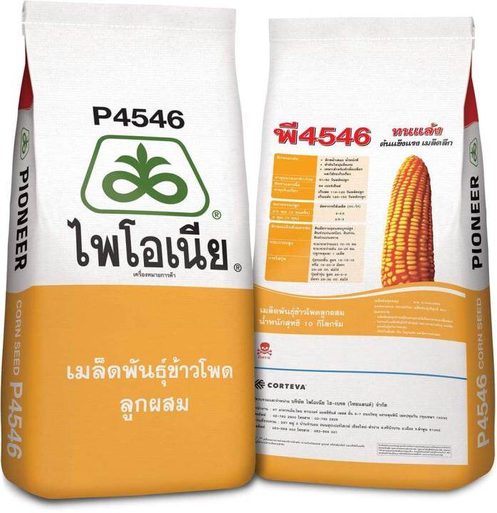 เมล็ดพันธุ์ข้าวโพดลูกผสม-ไพโอเนีย-p4546-ขนาด-3-5หุน-10-kg-ข้าวโพด-ผัก-เมล็ดพันธุ์พืช-ผักสวนครัว-พรรณไม้-พงษ์เกษตรอุตรดิตถ์