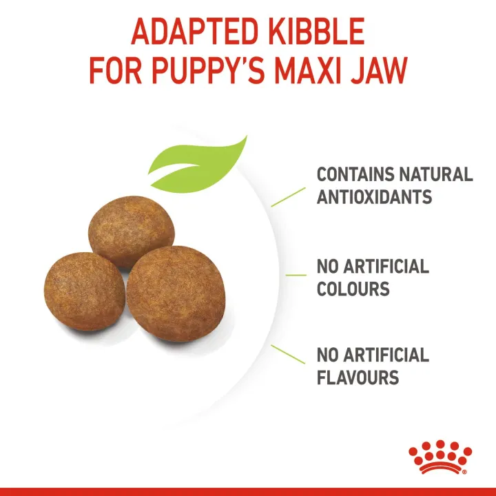 royal-canin-maxi-puppy-4-kg-อาหารลูกสุนัขพันธุ์ใหญ่-อายุน้อยกว่า-1-ปี