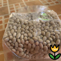 GRADE A - Raw White Bean // 500G.