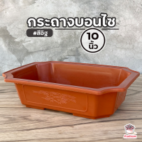 กระถางบอนไซ 10 นิ้ว #สีอิฐ กระถางสี่เหลี่ยมผืนผ้า กระถางทรงเตี้ย กระถางพลาสติก