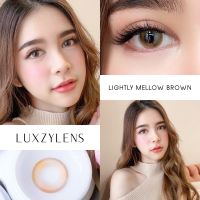 ?มีค่าสายตา? LuxzyLens lightly Mellow Brown Gray ลัคซี่เลนซ์ แถมตลับ สายตาปกติ และ ค่าสายตาสั้น กําลังของเลนส์ (0.5-7.00) 50 75 100 125 150 175 200 225 250 275 300 325 350 375 400 4