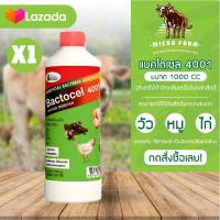 Bactocel 4001 แบคโตเซล 4001 ขนาด 1000 ml 1 ขวด ดับกลิ่นเหม็นคอกสัตว์ จุลินทรีย์คอกสัตว์  ยาดับกลิ่นคอกสัตว์ จุลินทรีย์กำจัดกลิ่น กำจัดกลิ่น