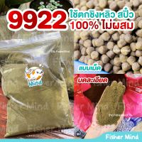 ?ขายดีมากก?หัวอาหาร 9922 CP ? หัวอาหารปลาดุกใหญ่ แบ่งขายถุงละ 1 kg ✅  มีแบบปั่นละเอียด และ ✅ ไม่ปั่น ✅ มีเก็บปลายทาง