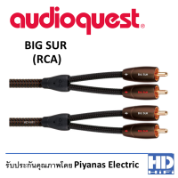 Audioquest Bigsur RCA Interconnect Cable