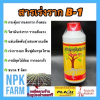 (โปร++) น้ำยาเร่งราก B1 ขนาด 1 ลิตร ฮอร์โมนพืช เร่งราก เร่งการงอก แช่เมล็ดพันธุ์ แช่กิ่งตอน ปักชำ ราก กิ่งตอน กิ่งปักชำ ปรับราก ส่วนลด เมล็ดพันธุ์ พันธุ์ข้าว เมล็ดหญ้า เมล็ดข้าวโพด