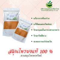 ขมิ้นชันผง ขนาด 100 กรัม ช่วยสมานแผลในกระเพาะอาหาร (Phuchifa_Organic)