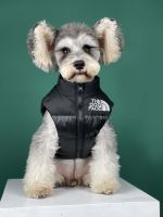 Winter Pet Dog Down Jacket Clothes Warm Thick Stitching Pet Coat Teddy Chihuahua Puppy Vest The Dog Face for Small Medium Dogs