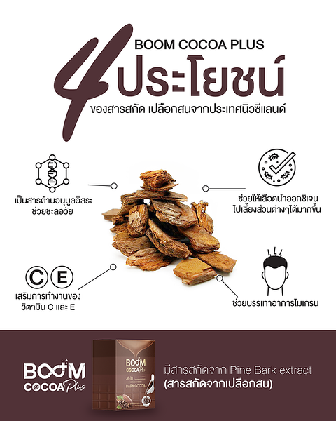 ของแท้-boom-cocoa-plus-โกโก้-บูมโกโก้-ขายโดยตัวแทนจำหน่ายบริษัท-เลข-อย-13-1-01760-5-0239