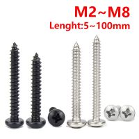 304 Stainless Steel Phillips Cross Round Pan Head Metal Self Tapping Wood Screw Bolt Black M2 M2.5 M3 M3.5 M4 M5 M6 M8 2-50pcs