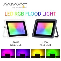 ไฟสาดแสง RGB 100W 50W 30W 20W IP68สะท้อนแสง RGB กันน้ำสปอตไลท์ไฟ LED โปรเจคเตอร์110V/220V โคมไฟกลางแจ้งไฟสนาม