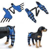 ✤ 2Pcs Dog Knee Brace For Small Medium Orthosis Pet Pads Adjustable Hind Legs Wrap Injury Recover Protector Care Prevent