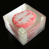 in Specimen Coasters Set 3D Organ in Artwork in Slices Square Acrylic Glass Drinks Table Coaster Drunk Scientists Gift