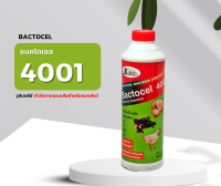 1 ขวด จุลินทรีย์ใช้สำหรับคอกสัตว์  แบคโตเซล 4001 300cc Bactocel 4001 ดับกลิ่นเหม็นคอกสัตว์ ลดแมลงวัน กำจัดกลิ่นเหม็นในคอกสัตว์ วัว หมู ไก่