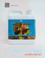 เทอร์โบ ไทโอ 1 ลิตร - 
Turbo Taio 1 liter