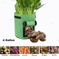 DIY Potato Grow Planter Non-Woven Fabric Growing Bag Tomato Planting Container Vegetable Gardening Thicken Garden Pot 17TH