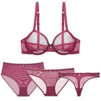 Varsbaby Sexy Transparent Underwear Set 4pcs Bras+Panties+Thongs+High Waist Briefs plus size For Women