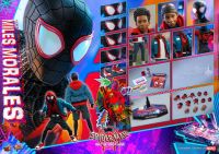 โมเดลชุดผ้าขนาด 1/6 Hot Toys MMS567 Spider-Man Into the Spider-Verse 1/6 Miles Morales ของใหม่ แท้ พร้อมส่ง