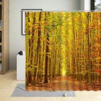 Fall Plant Dense Forest Natural Scenery Shower Curtain Path Sunlight Inject Trees view Bathroom Home Decoration Polyester Fabric