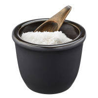 GEFU Salt &amp; Spice Pot X-PLOSION โถใส่เกลือและเครื่องเทศ รุ่น 34636