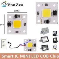 220V 110V Smart IC MINI LED COB Chip 10W White Warm White Plant light LED Lamp for Flood Light Spotlight Downlight Lighting