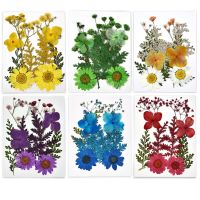 Dried Flowers DIY UV Epoxy Resin Fillers Natural Plant Stickers Beauty Decal Nail Art Decoration Jewelry Making Filling Tools
