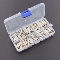 XMM-100pcs Ceramics Fuses Kit In Box Slow Blow 5x20mm T 1a 2a 3.15a 4a 5a 6a 8a 10a 12a 15a/250v 5*20 Protective Insurance Tube Set