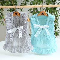 Dog Clothing Blue Grey Colors Cool Summer Dog Dresses for 2023 Newest Hollow Lace Collar Vintage Skirt for Dog Pet Clothes Dresses