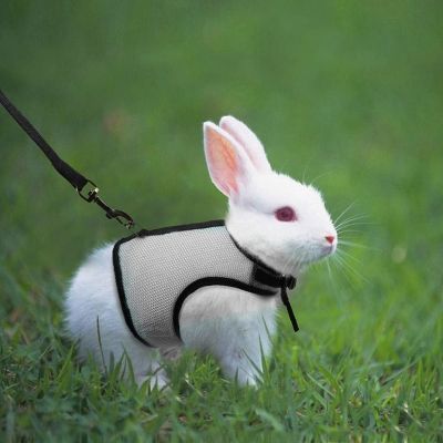 （PAPI PET）ชุดสายจูงกระต่ายเครื่องประดับสัตว์เลี้ยง,ชุดสายจูงตาข่ายนุ่มสายรัดสัตว์เลี้ยงสัตว์ขนาดเล็กหนูตะเภาแฮมสเตอร์หมู