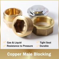 1/8" 1/4" 3/8" 1/2" 3/4" 2" Male Thread Brass Pipe Hex Head End Cap Plug Fitting Quick Connector Brass Universal Faucet Adapter Pipe Fittings Accessor