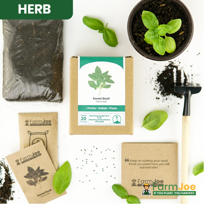 BASIL Growing Kit Planting Kit Seedling Kit Starter Kit Plant