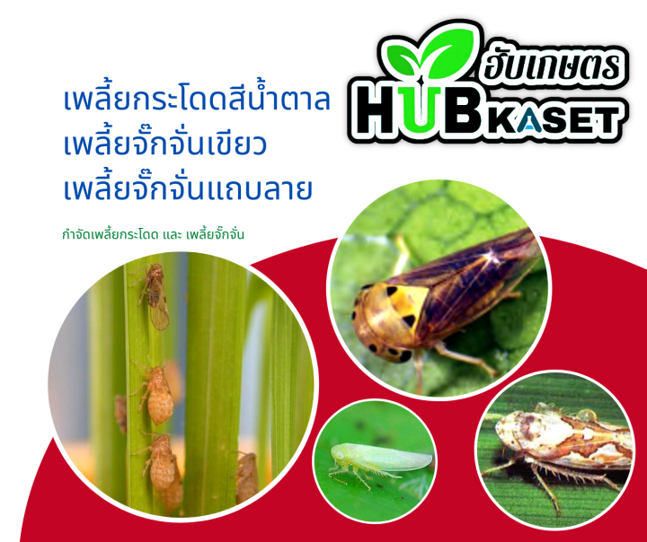 เท็ปเปกิ-250กรัม-ฟลอนิคามิด-กำจัดแมลงจำพวกเพลี้ยต่างๆในข้าว-พืชไร่-พืชผัก-ไม้ผล-ไม้ดอก