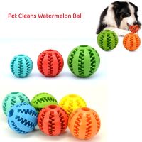 Silicone Pet Dog Toy Ball Interactive Bite-resistant Chew Toy for Small Dogs Tooth Cleaning Elasticity Ball Pet Products 5/6/7cm Toys