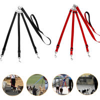 New Creative Adjustable Detachable Nylon Dog Leash 3 In 1 Dog Leashes For Multiple Dogs With Padded Handle