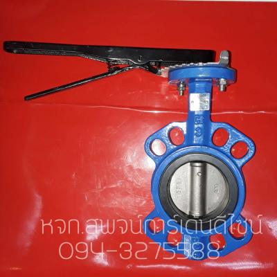 Butterfly Valve 2