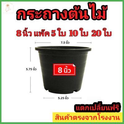 กระถางต้นไม้พลาสติก ขนาด 8 นิ้ว กระถางต้นไม้ กระถางกระบองเพชร สีดำ