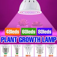 หลอดไฟ E27สำหรับปลูกพืชแบบไฮโดรโปนิกส์ E14 Grow หลอดไฟส่องสว่าง Led หลอดไฟ GU10 MR16 B22 220V 3W 4W 5W สเปกตรัมเต็มสำหรับโคมไฟปลูกผักไฮโดรโปนิคพืชดอกไม้