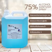 Klean&amp; klean alcohol hand sanitizer spray