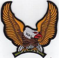 iron on patch Embroidery Golden Eagle birds of prey 8x7.5 cm อินทรี นก ตัวรีด เย็บติดผ้าประเทศไทย โลโก้ปัก มีกาวสำหรับรีด ตกแต่งเสื้อผ้า